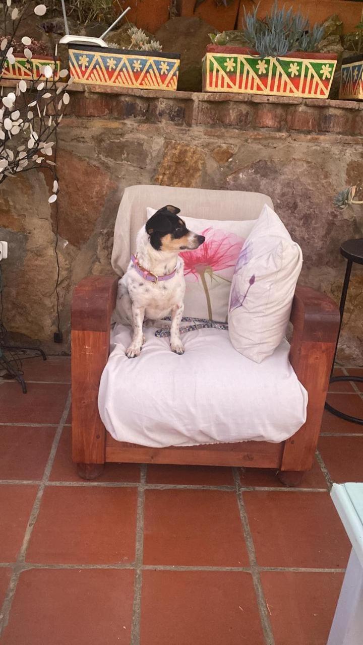Casa Hotel San Pedro Villa de Leyva Εξωτερικό φωτογραφία